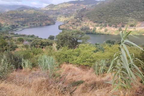 Farm i Barro, Aveiro, Barro - € 185.000 | Ref: LMG_4101 - N - foto 3