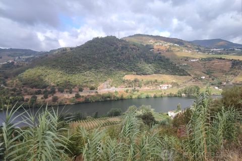 Farm i Barro, Aveiro, Barro - € 185.000 | Ref: LMG_4101 - N - foto 4