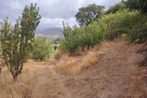 Farm i Barro, Aveiro, Barro - € 185.000 | Ref: LMG_4101 - N - foto 5