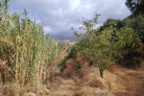 Farm i Barro, Aveiro, Barro - € 185.000 | Ref: LMG_4101 - N - foto 7