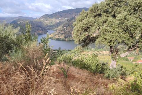 Farm i Barro, Aveiro, Barro - € 185.000 | Ref: LMG_4101 - N - foto 8