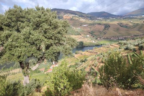 Farm i Barro, Aveiro, Barro - € 185.000 | Ref: LMG_4101 - N - foto 9