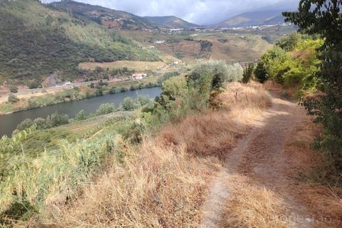 Farm i Barro, Aveiro, Barro - € 185.000 | Ref: LMG_4101 - N - foto 10