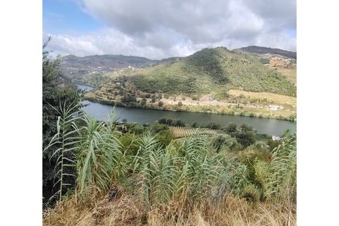 Farm i Barro, Aveiro, Barro - € 185.000 | Ref: LMG_4101 - N - foto 11
