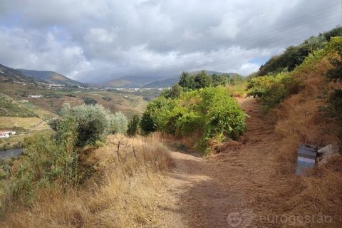 Farm i Barro, Aveiro, Barro - € 185.000 | Ref: LMG_4101 - N - foto 12