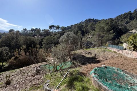 Villa a Blausasc, Alpes-Maritimes, Blausasc - € 395.000 | Ref: 86822963 - foto 9