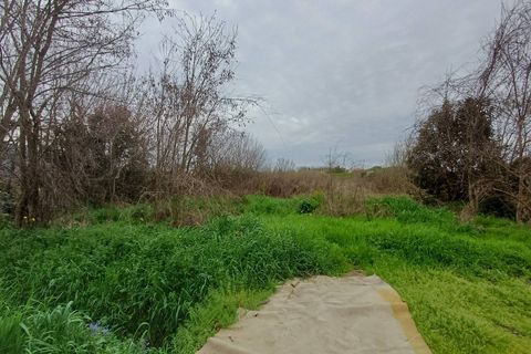 Terra a Vecchiano, Pisa, Vecchiano - € 16.000 | Ref: 2026068 - foto 2