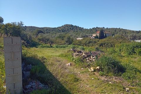 Helårsgrund i Riba-Roja De Turia, Valencia, Riba-Roja De Turia - € 225.000 | Ref: 14001-NRQ/2912 - foto 3