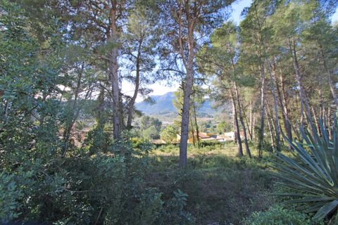 Tomt i Alcalali, Alicante, Alcalali - € 300 000 | Ref: 001834 - foto 2