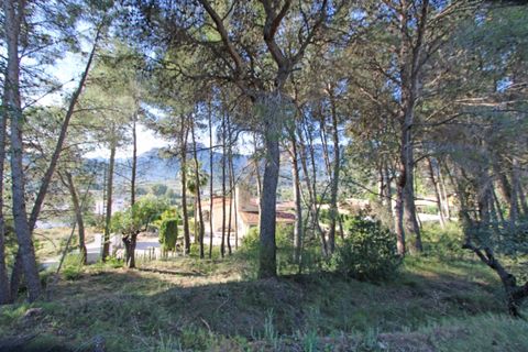 Tomt i Alcalali, Alicante, Alcalali - € 300 000 | Ref: 001834 - foto 5