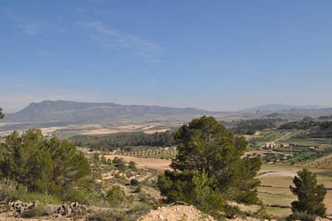 Terra a La Zarza, Murcia, La Zarza - € 39.900 | Ref: 44020c2603 - foto 2