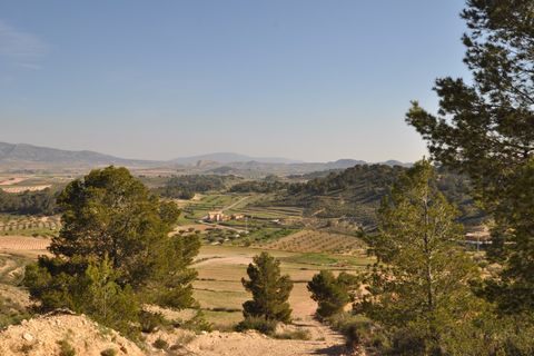 Terra a La Zarza, Murcia, La Zarza - € 39.900 | Ref: 44020c2603 - foto 3
