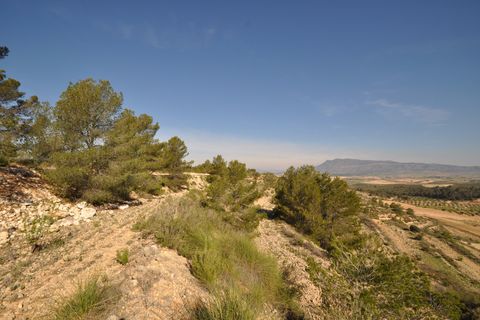 Terra a La Zarza, Murcia, La Zarza - € 39.900 | Ref: 44020c2603 - foto 4