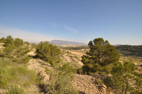 Terra a La Zarza, Murcia, La Zarza - € 39.900 | Ref: 44020c2603 - foto 5
