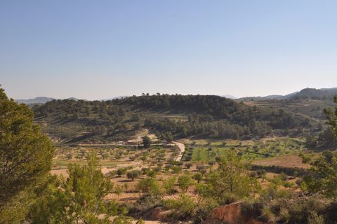 Terra a La Zarza, Murcia, La Zarza - € 39.900 | Ref: 44020c2603 - foto 6