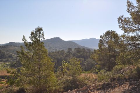 Terra a La Zarza, Murcia, La Zarza - € 39.900 | Ref: 44020c2603 - foto 7