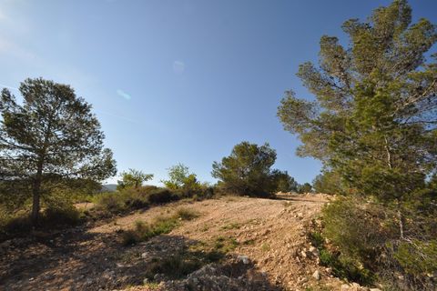 Terra a La Zarza, Murcia, La Zarza - € 39.900 | Ref: 44020c2603 - foto 8