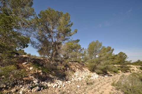 Terra a La Zarza, Murcia, La Zarza - € 39.900 | Ref: 44020c2603 - foto 9