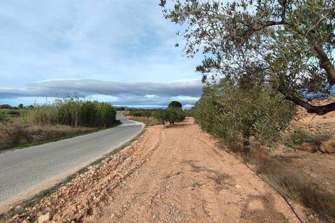 Terra a Monovar, Alicante, Monovar - € 42.900 | Ref: 44090c2603-SS - foto 2