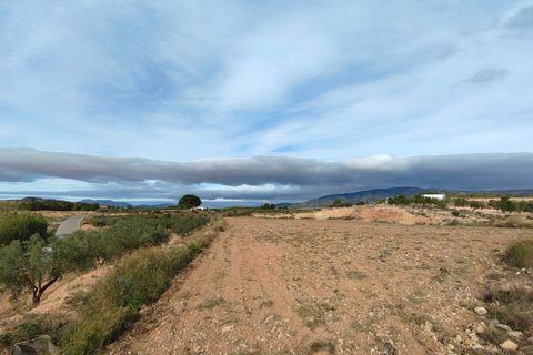 Terra a Monovar, Alicante, Monovar - € 42.900 | Ref: 44090c2603-SS - foto 4