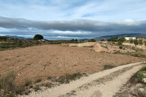 Terra a Monovar, Alicante, Monovar - € 42.900 | Ref: 44090c2603-SS - foto 5
