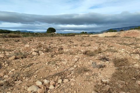 Terra a Monovar, Alicante, Monovar - € 42.900 | Ref: 44090c2603-SS - foto 7