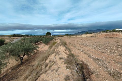 Terra a Monovar, Alicante, Monovar - € 42.900 | Ref: 44090c2603-SS - foto 8