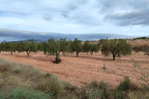 Terra a Monovar, Alicante, Monovar - € 42.900 | Ref: 44090c2603-SS - foto 10
