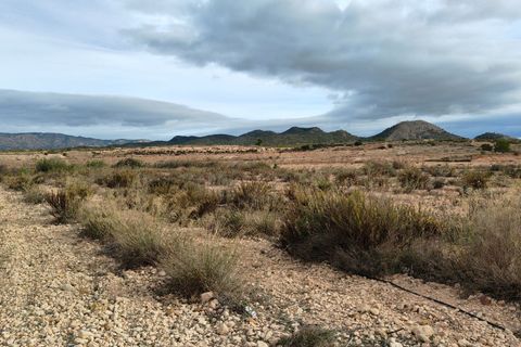 Terra a Monovar, Alicante, Monovar - € 42.900 | Ref: 44090c2603-SS - foto 11