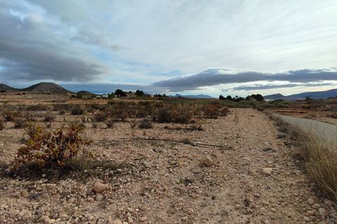 Terra a Monovar, Alicante, Monovar - € 42.900 | Ref: 44090c2603-SS - foto 12