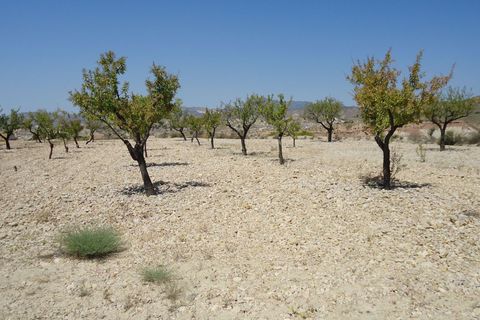 Terra a Abanilla, Murcia, Abanilla - € 32.900 | Ref: 44086c2603 - foto 3