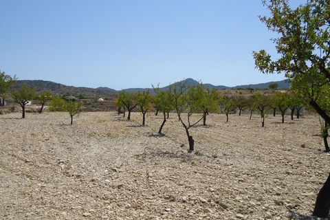 Terra a Abanilla, Murcia, Abanilla - € 32.900 | Ref: 44086c2603 - foto 5
