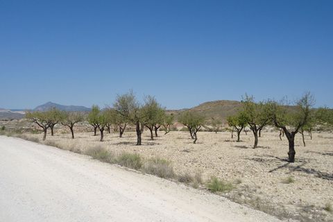 Terra a Abanilla, Murcia, Abanilla - € 32.900 | Ref: 44086c2603 - foto 7