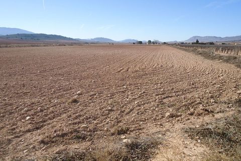Tomt i Yecla, Murcia, Yecla - € 40 995 | Ref: 44083c2603 - foto 2