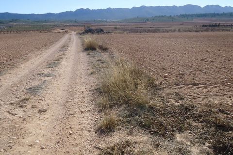 Tomt i Yecla, Murcia, Yecla - € 40 995 | Ref: 44083c2603 - foto 3