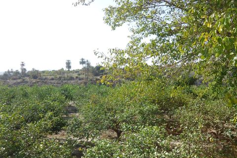 Villa i Abanilla, Murcia, Abanilla - € 114.900 | Ref: 44071c2603-SS - foto 15