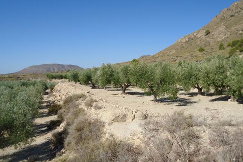 Tomt i Abanilla, Murcia, Abanilla - € 82 995 | Ref: 44064c2603-SS - foto 2