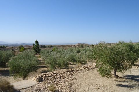 Tomt i Abanilla, Murcia, Abanilla - € 82 995 | Ref: 44064c2603-SS - foto 3