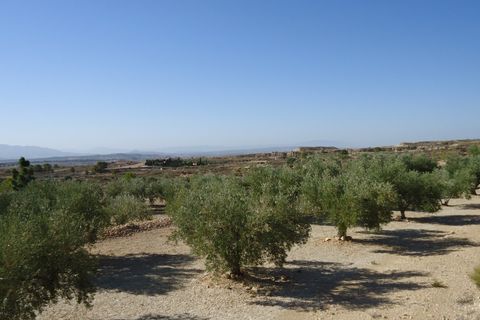 Tomt i Abanilla, Murcia, Abanilla - € 82 995 | Ref: 44064c2603-SS - foto 4
