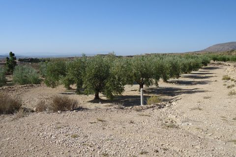 Tomt i Abanilla, Murcia, Abanilla - € 82 995 | Ref: 44064c2603-SS - foto 5