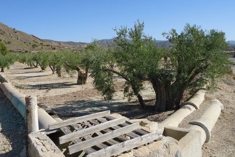 Tomt i Abanilla, Murcia, Abanilla - € 82 995 | Ref: 44064c2603-SS - foto 6
