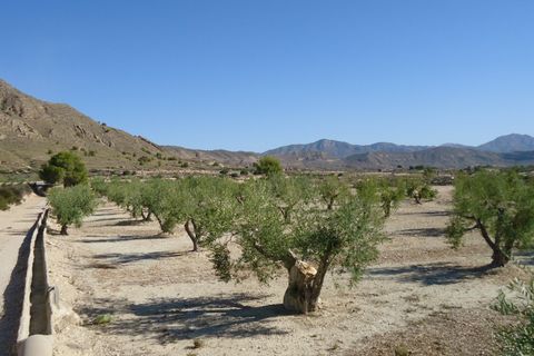 Tomt i Abanilla, Murcia, Abanilla - € 82 995 | Ref: 44064c2603-SS - foto 7