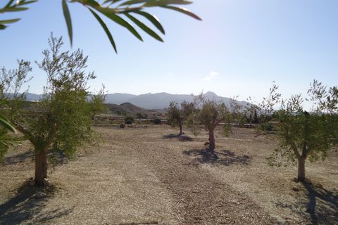 Tomt i Abanilla, Murcia, Abanilla - € 82 995 | Ref: 44064c2603-SS - foto 8