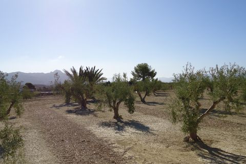 Tomt i Abanilla, Murcia, Abanilla - € 82 995 | Ref: 44064c2603-SS - foto 9