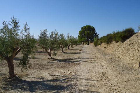 Tomt i Abanilla, Murcia, Abanilla - € 82 995 | Ref: 44064c2603-SS - foto 10