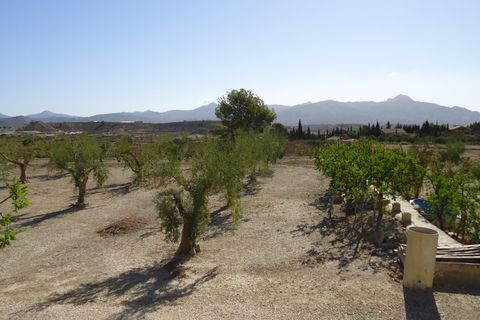 Tomt i Abanilla, Murcia, Abanilla - € 82 995 | Ref: 44064c2603-SS - foto 13