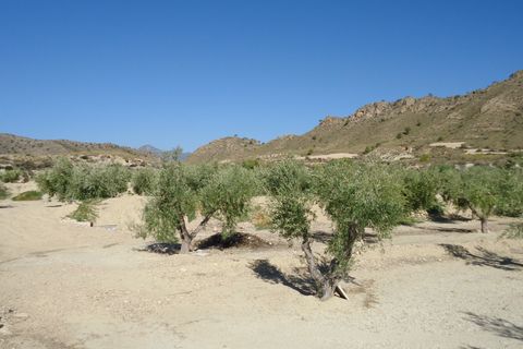 Tomt i Abanilla, Murcia, Abanilla - € 82 995 | Ref: 44064c2603-SS - foto 14