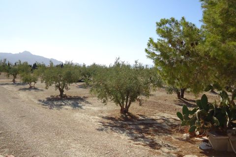 Tomt i Abanilla, Murcia, Abanilla - € 82 995 | Ref: 44064c2603-SS - foto 15
