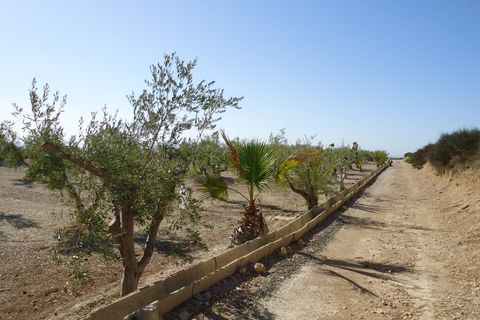 Tomt i Abanilla, Murcia, Abanilla - € 82 995 | Ref: 44064c2603-SS - foto 17