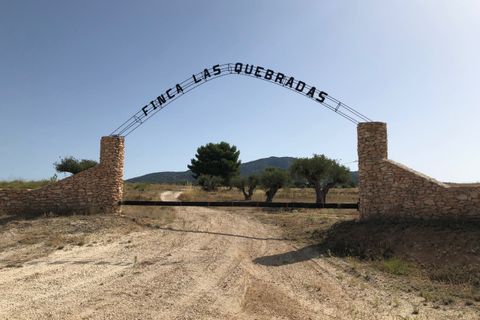 Helårsgrund i Yecla, Murcia, Yecla - € 623.000 | Ref: 44058c2603-SS - foto 1